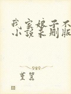 我家娘子不对劲小说未删版完整