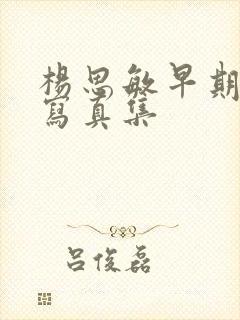 杨思敏早期裸体写真集