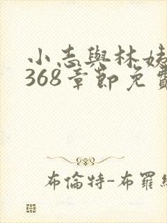 小志与林姨小说368章节免费阅读封面