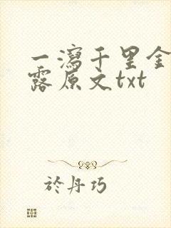 一泻千里金银花露原文txt