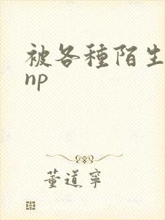 被各种陌生人 np封面