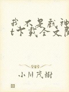 我不是戏神txt下载全文阅读