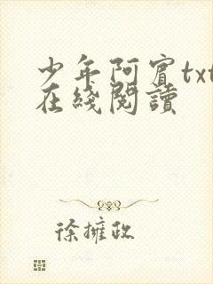 少年阿宾txt在线阅读