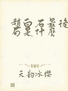 赵白石最后的结局是什么