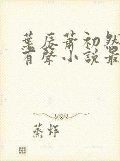 叶辰萧初然在线有声小说最新章节封面