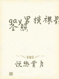 gay男模裸体全照