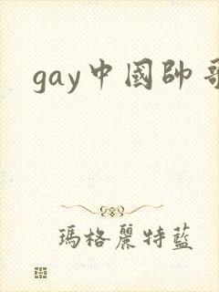 gay中国帅哥