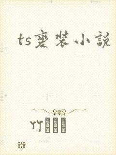 ts变装小说封面