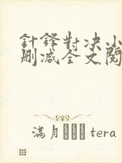 针锋对决小说未删减全文阅读封面