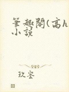 笔趣阁(高h)小说