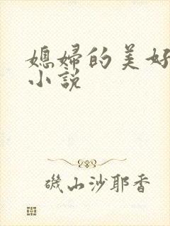 媳妇的美好时代小说