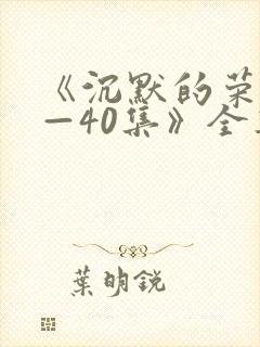 《沉默的荣耀1—40集》全集免费观看