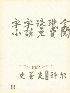 字字珠玑金银花小说免费阅读