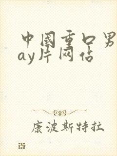 中国重口男同gay片网站