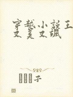 穿越小说王妃她又美又飒封面