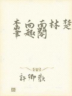 李向南林楚乔新笔趣阁