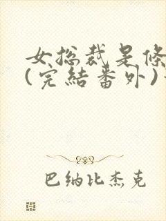 女总裁是条骚狗(完结番外)笔趣阁小说