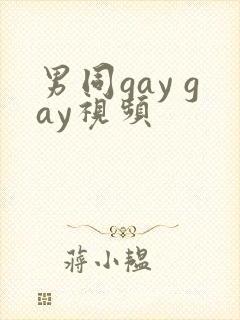 男同gay gay视频