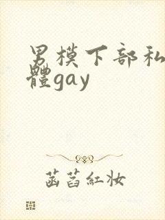 男模下部私密裸体gay