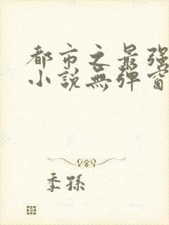 都市之最强狂兵小说无弹窗