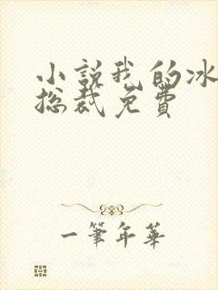 小说我的冰山女总裁免费