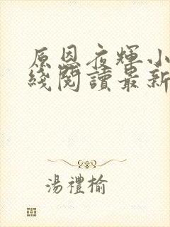 原恩夜辉小说在线阅读最新章节