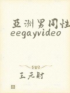 亚洲男同性freegayvideo