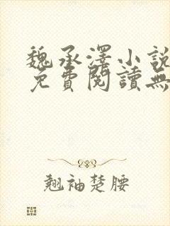 魏承泽小说全文免费阅读无弹窗笔趣