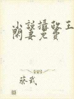 小说摄政王的小闲妻免费