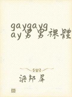 gaygaygay男男裸体