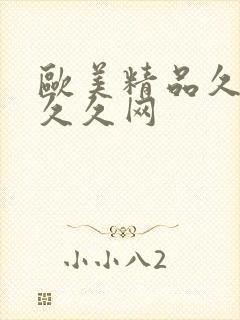 欧美精品久久久久久网