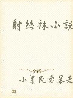 射丝袜小说封面