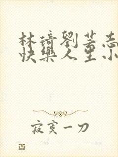 林琦刘芸志刚的快乐人生小说笔趣阁