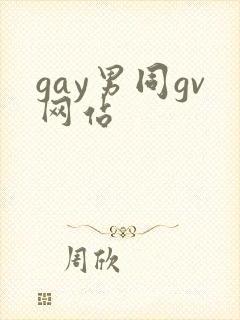 gay男同gv网站