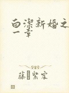 白洁新婚之夜第一章封面
