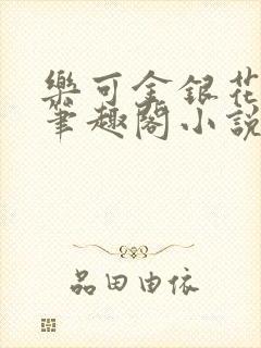 乐可金银花免费笔趣阁小说