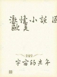 激情小说 国产 欧美封面
