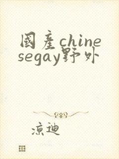 国产chinesegay野外封面