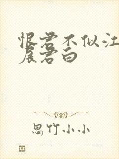 恨君不似江楼月展君白