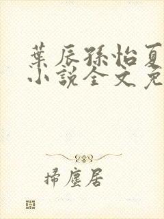 叶辰孙怡夏若雪小说全文免费阅读