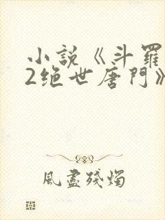 小说《斗罗大陆2绝世唐门》