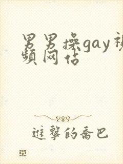 男男操gay视频网站
