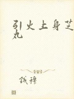 引火上身芝麻糖丸封面