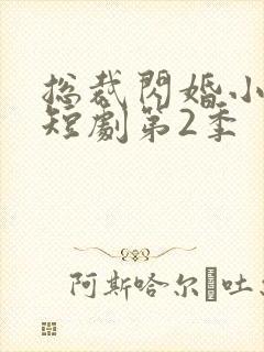 总裁闪婚小娇妻短剧第2季