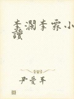 李澜李霖小说阅读封面