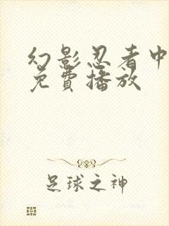 幻影忍者中文版免费播放封面