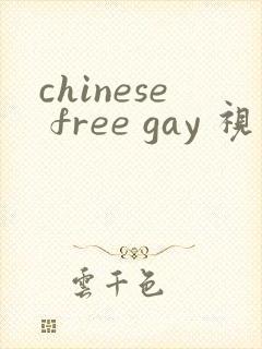 chinese free gay 视频