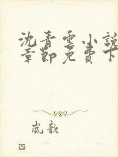 沈青云小说最新章节免费下载