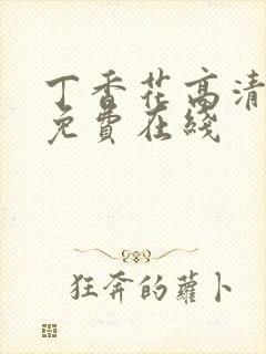 丁香花高清视频免费在线