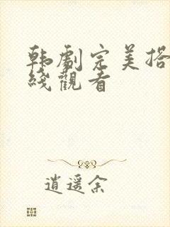 韩剧完美搭档在线观看